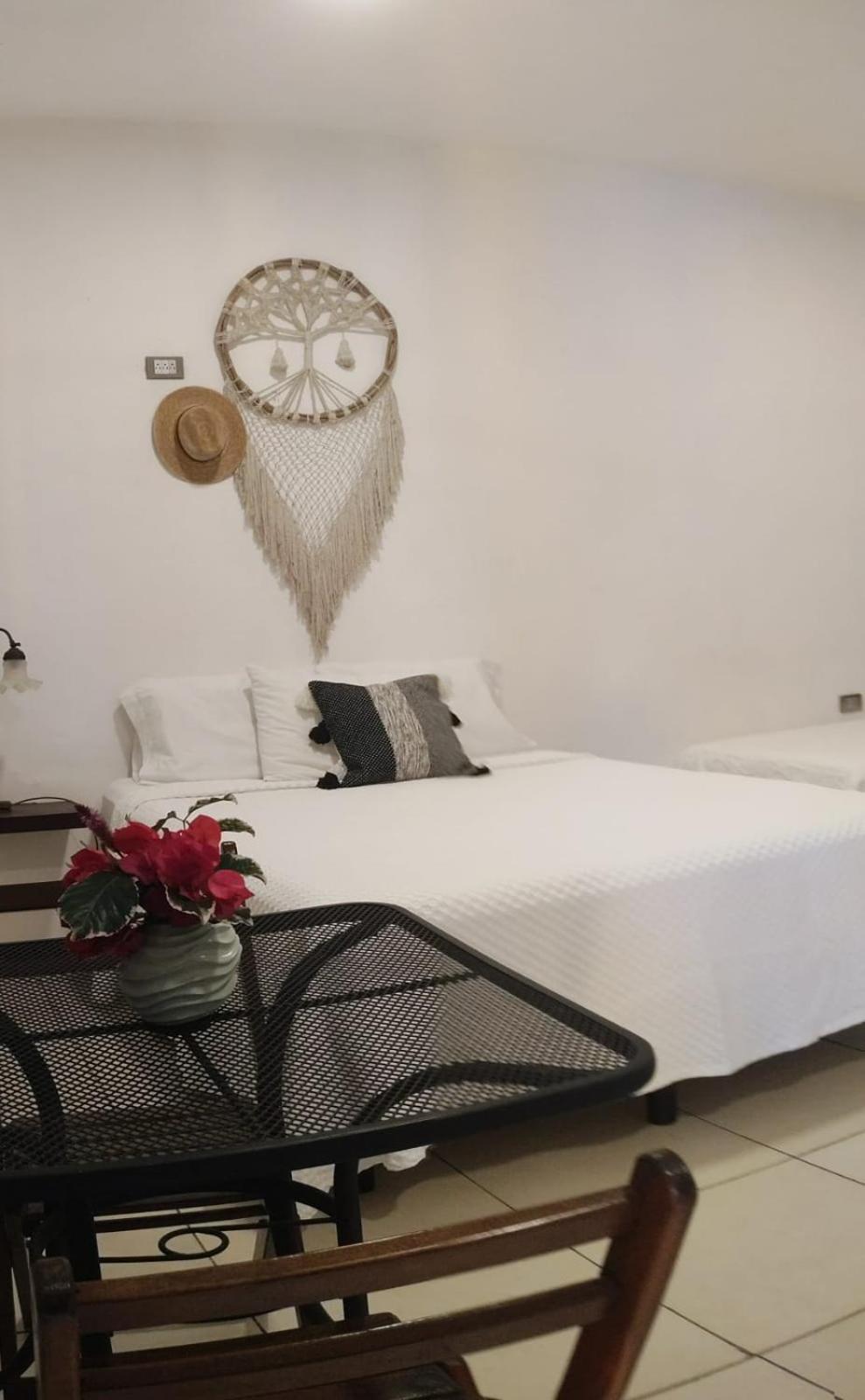 Ticul Quinta Rosita Bed & Breakfast エクステリア 写真