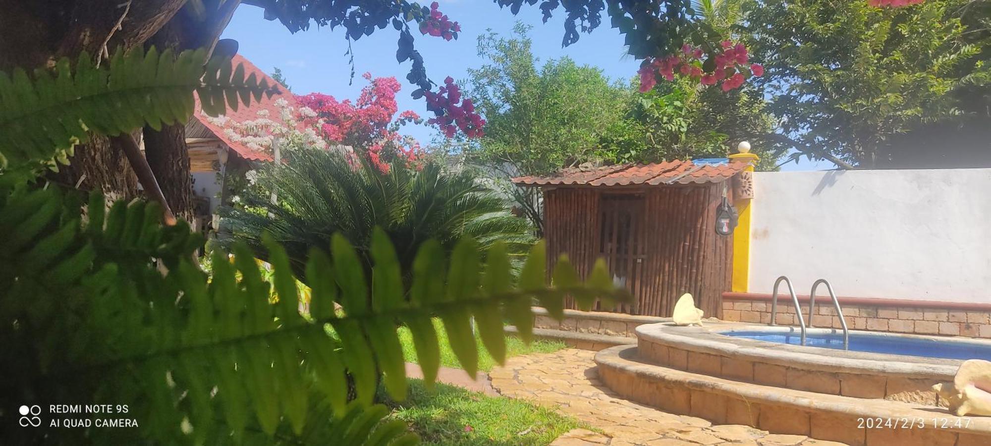 Ticul Quinta Rosita Bed & Breakfast エクステリア 写真