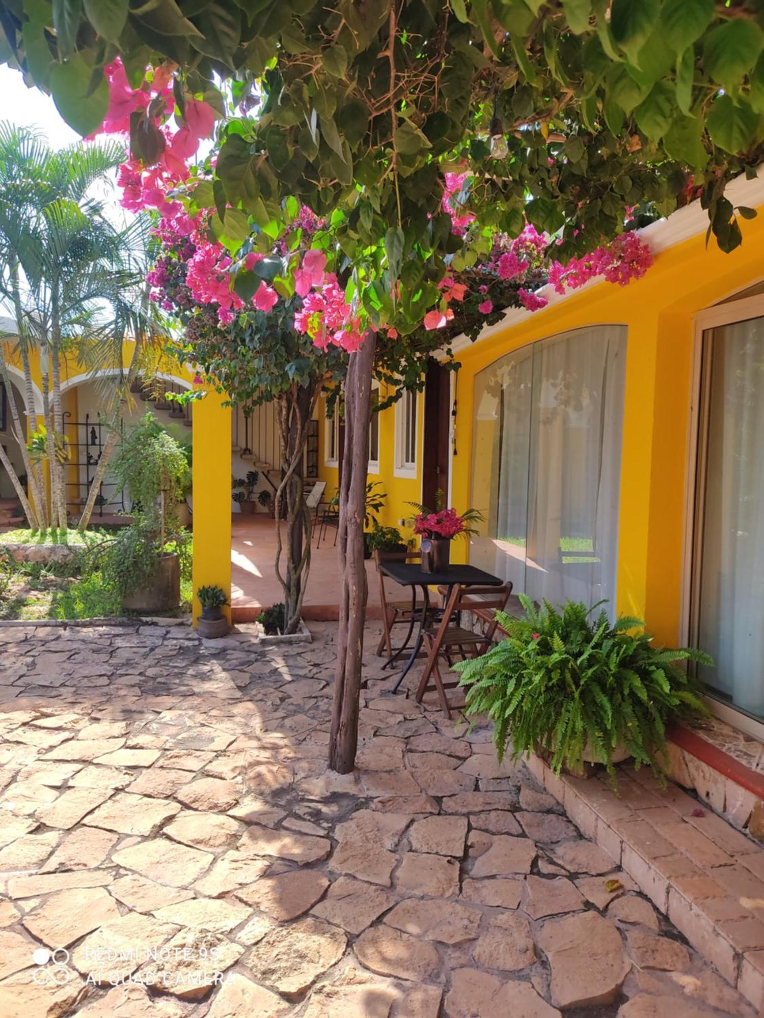 Ticul Quinta Rosita Bed & Breakfast エクステリア 写真