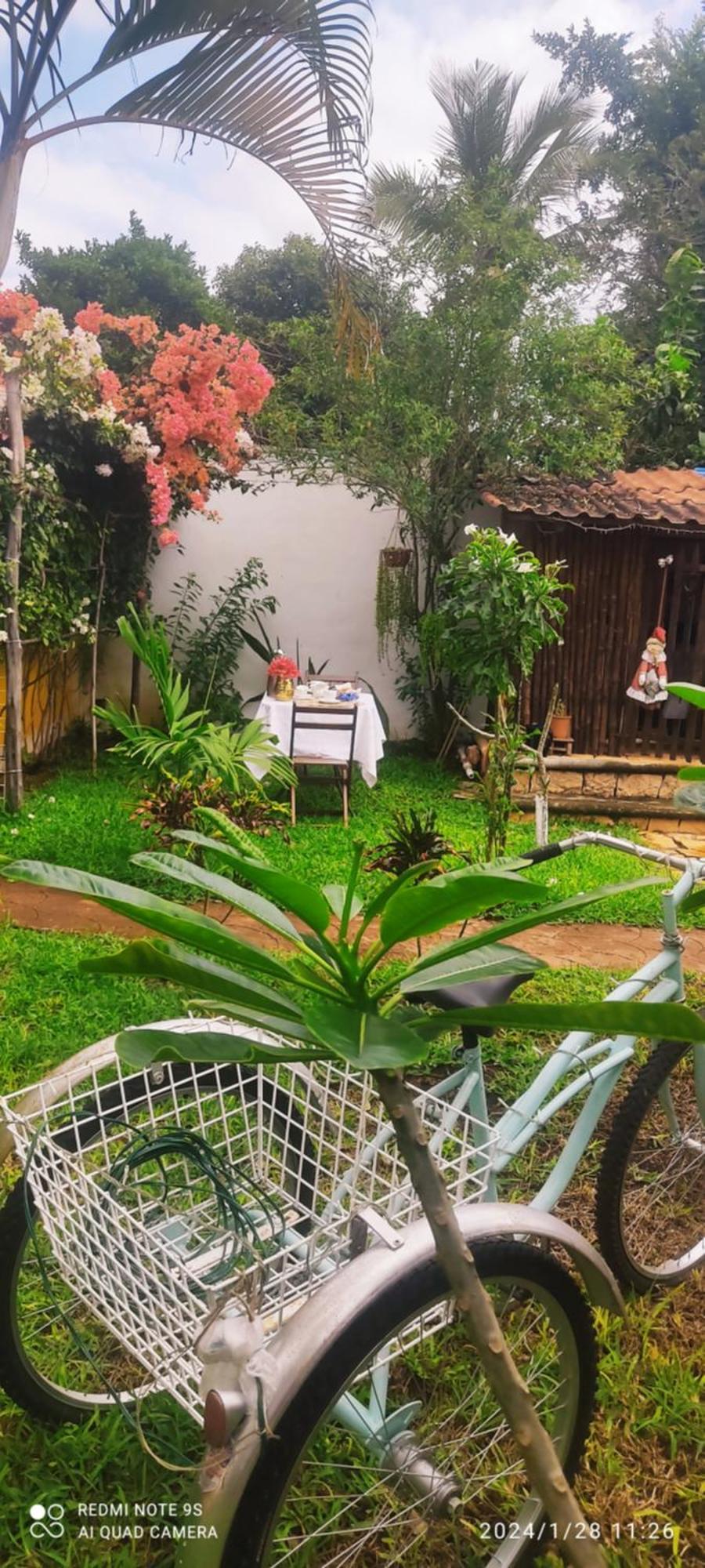 Ticul Quinta Rosita Bed & Breakfast エクステリア 写真