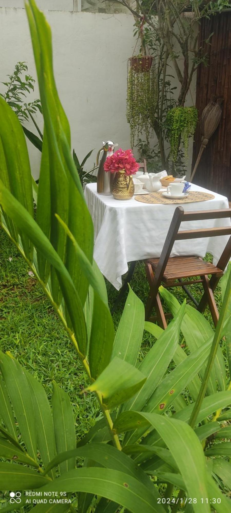 Ticul Quinta Rosita Bed & Breakfast エクステリア 写真