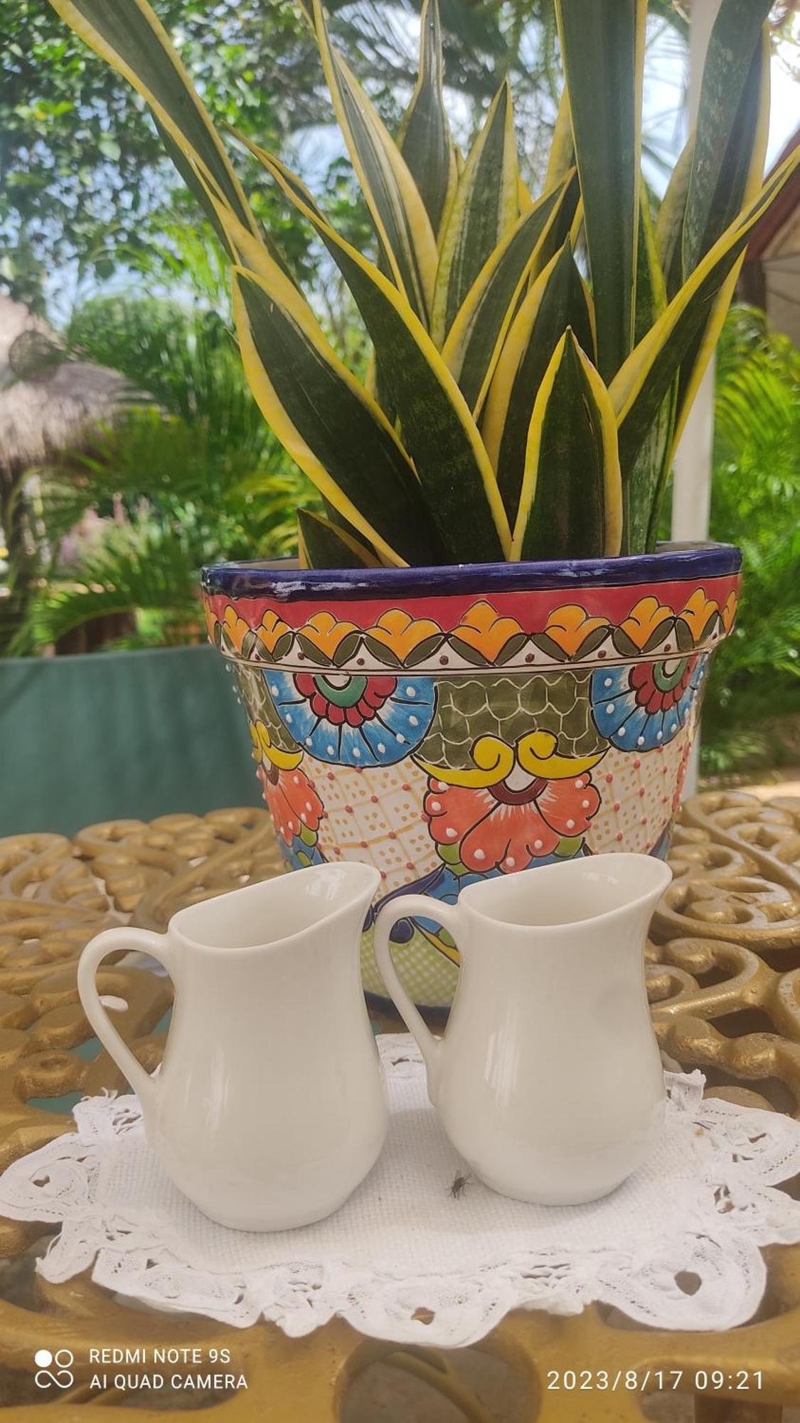 Ticul Quinta Rosita Bed & Breakfast エクステリア 写真