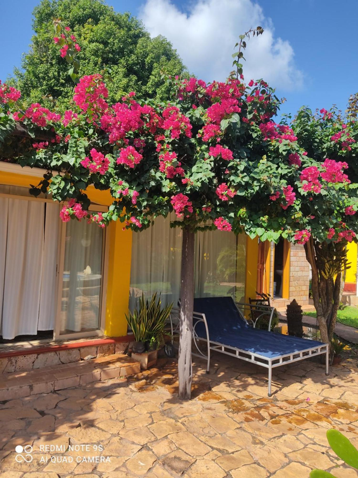 Ticul Quinta Rosita Bed & Breakfast エクステリア 写真