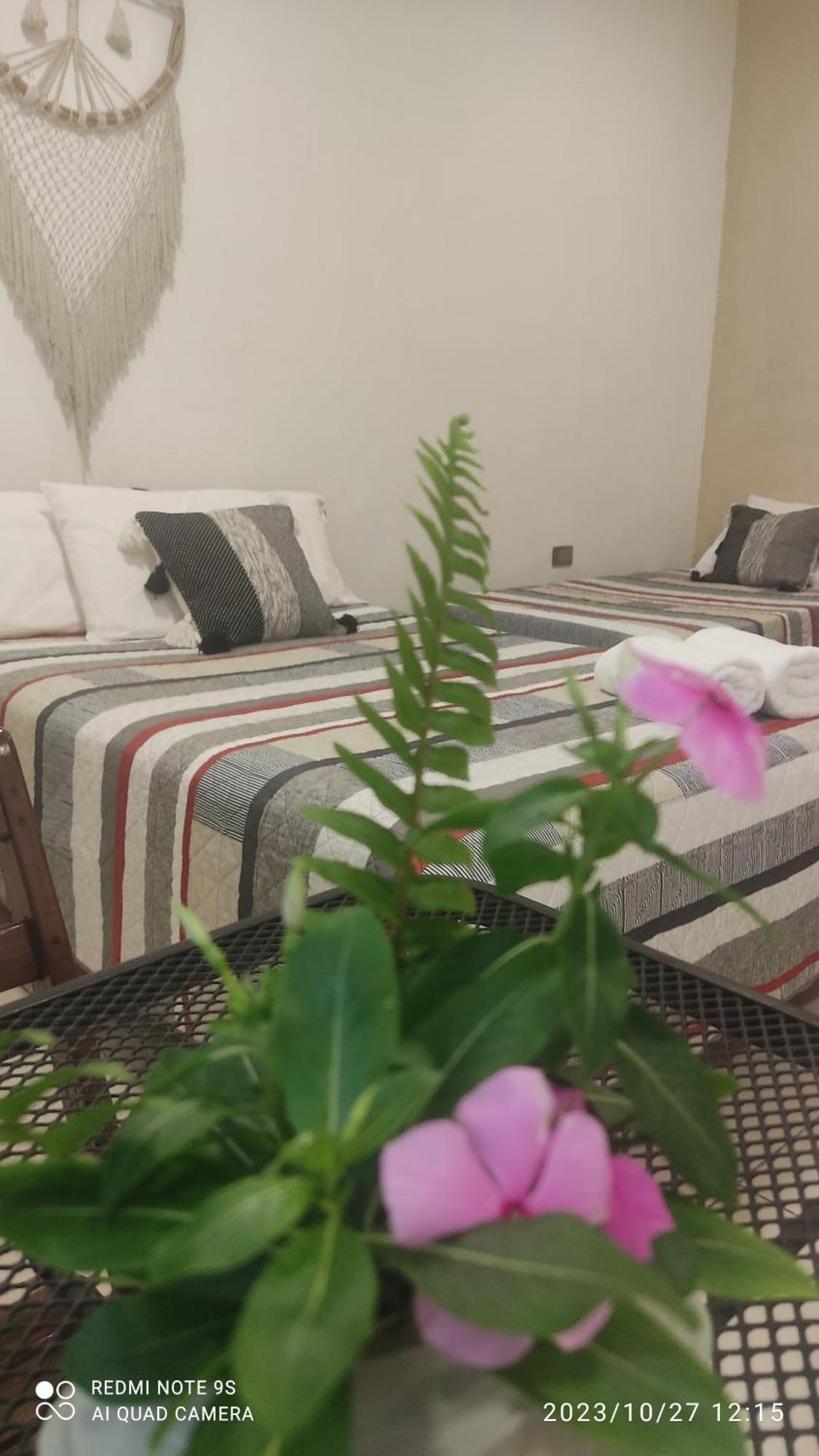 Ticul Quinta Rosita Bed & Breakfast エクステリア 写真