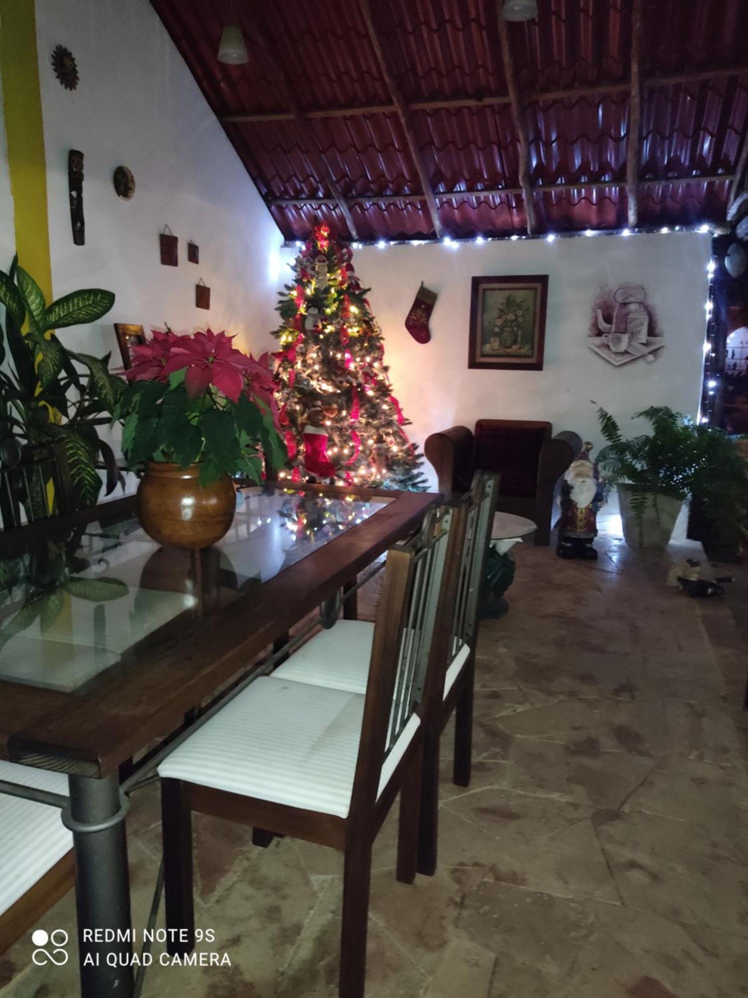 Ticul Quinta Rosita Bed & Breakfast エクステリア 写真