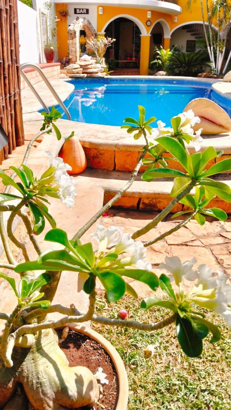 Ticul Quinta Rosita Bed & Breakfast エクステリア 写真