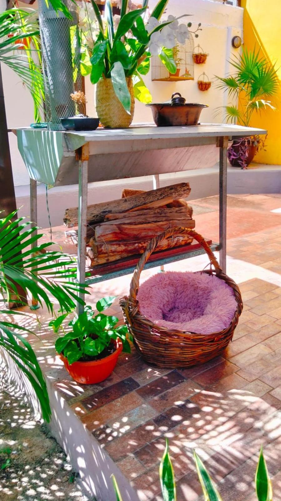 Ticul Quinta Rosita Bed & Breakfast エクステリア 写真