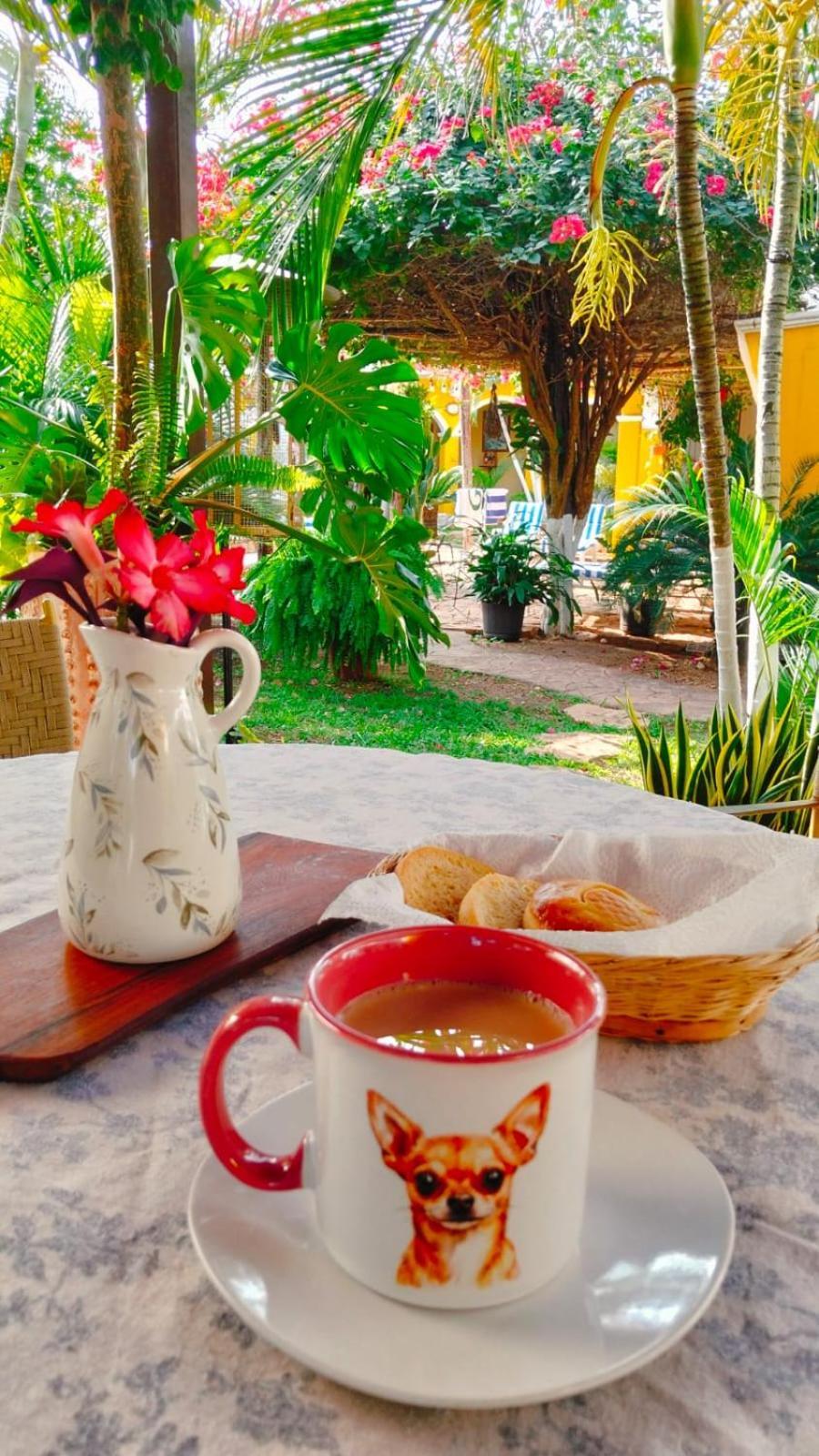 Ticul Quinta Rosita Bed & Breakfast エクステリア 写真